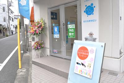 ECO犬サロン