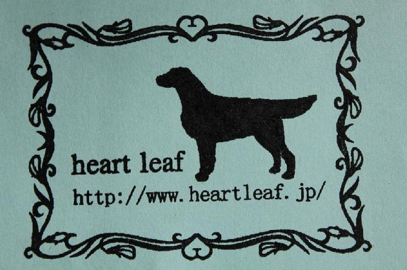 heartleaf