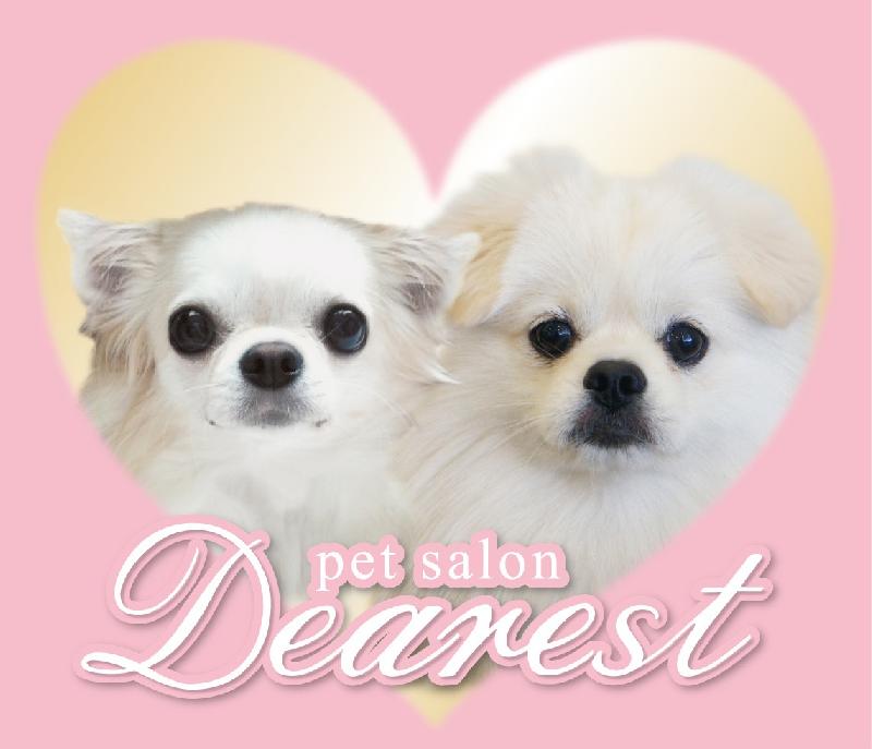 pet salon Dearest